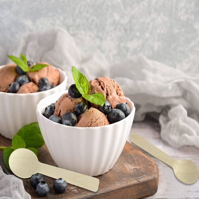 100mm-Disposable-Wooden-Spoon-2 100ml ice cream spoon manufacturer in Delhi NCR