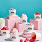 Customize Logo Printed Ice Cream Cup Manufacturer in delhi