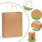 Kraft Paper Carry Bag Manufacturer in Paharganj