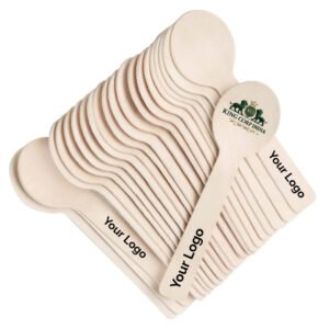 Customize Ice Cream Spoon Manufacturer in Delhi