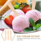 75mm Ice Cream Spoon Manufacturer in gurugram