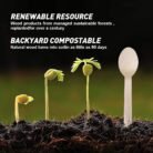 160mm Disposable Wooden Spoon Manufacturer in noida