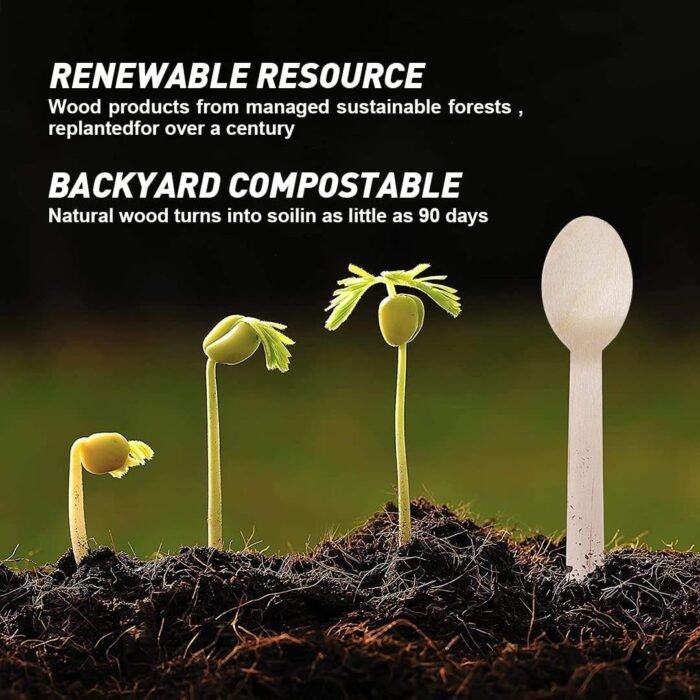 160mm Disposable Wooden Spoon Manufacturer in noida 160mm Disposable Wooden Spoon Manufacturer in noida